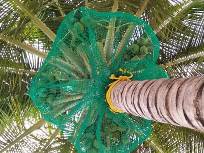 Balcony Safety Nets in bangalore